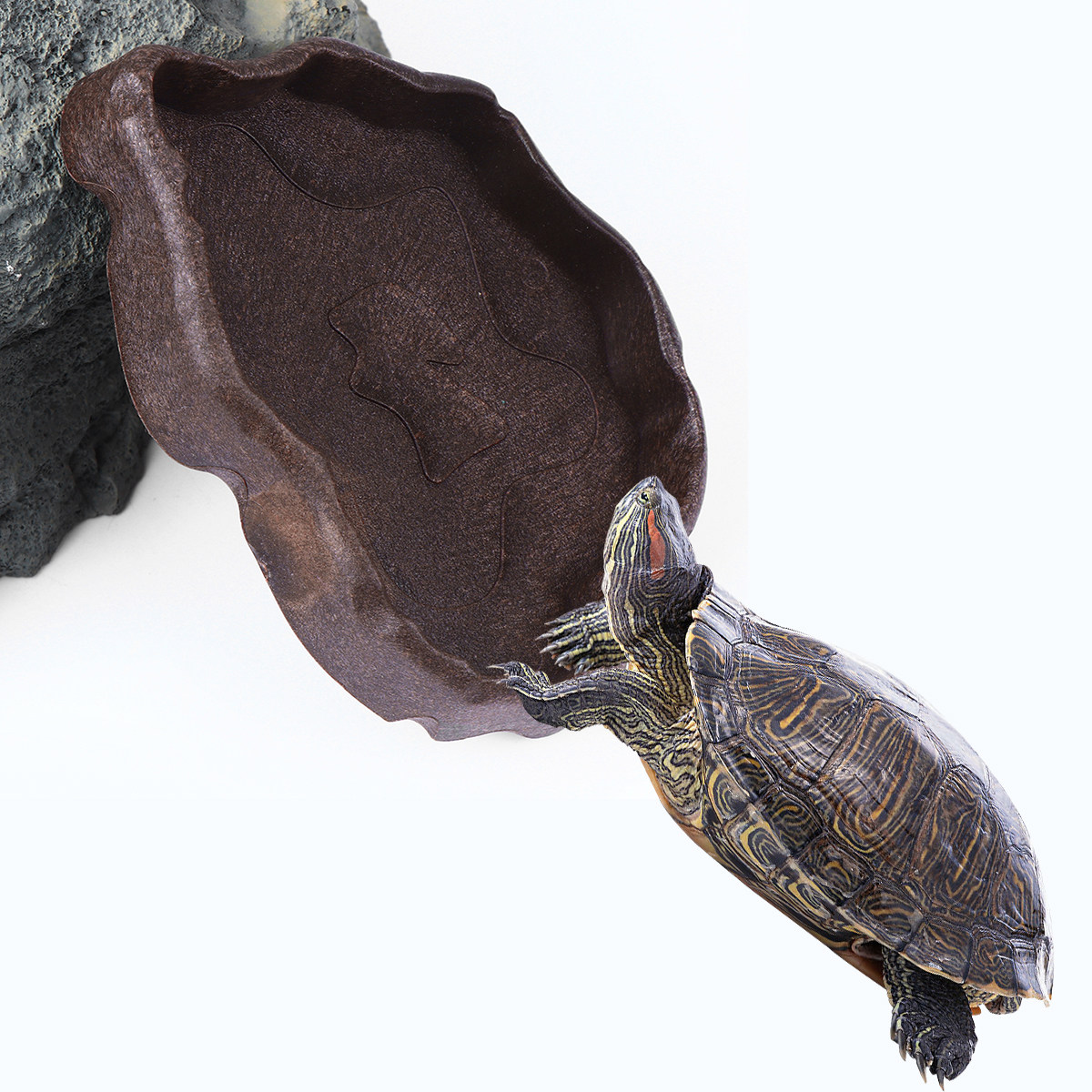 Water Dish Reptile - Миска для корма из полимерной смолы