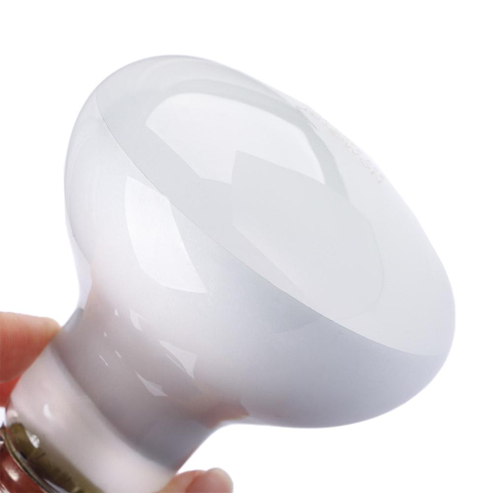 Basking Bulb Halogen - Контроллер температуры для террариумного обогревателя, галогенная