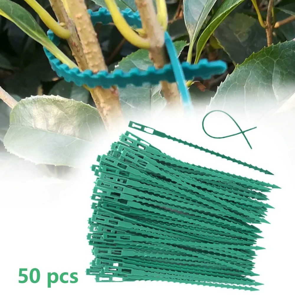 50 шт. регулируемых пластиковы – обзор и цена Vine Climbing Plastic