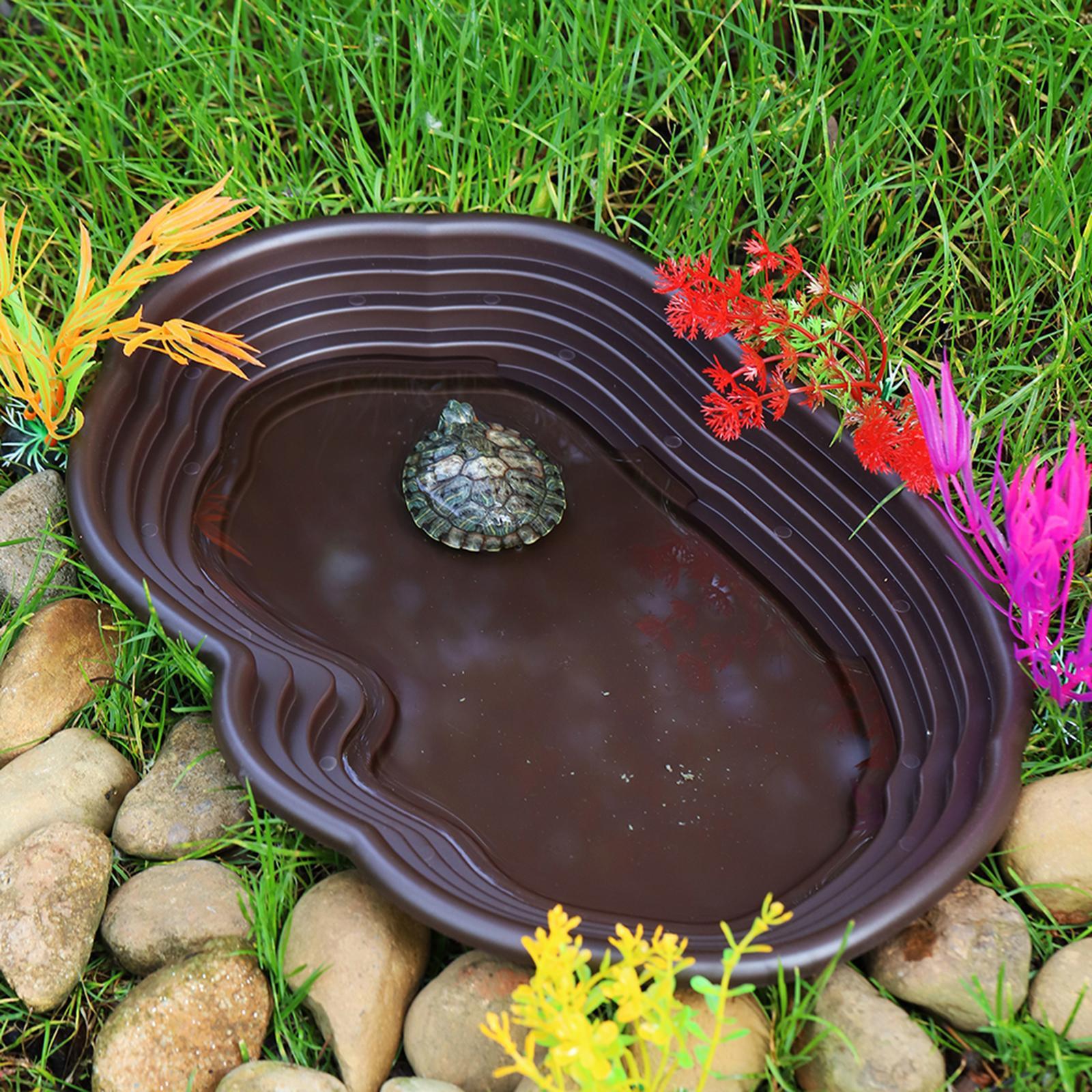 Тарелка для мытья рептилий, ко – обзор и цена Water Dish Reptile