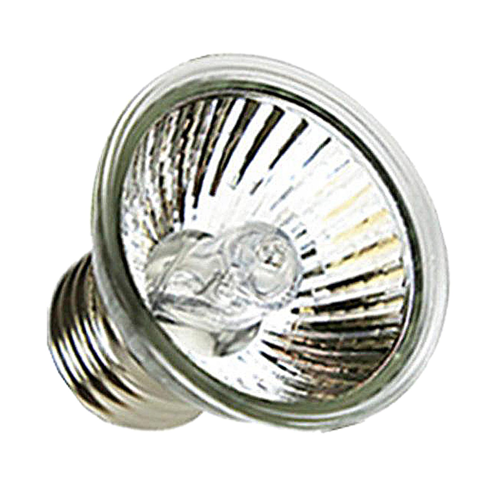Галогенная лампа для обогрева  – обзор и цена Basking Bulb Halogen