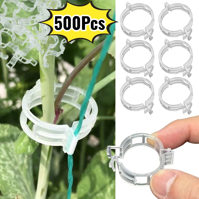 500 шт. пластиковых зажимов дл – обзор и цена Vine Climbing Plastic