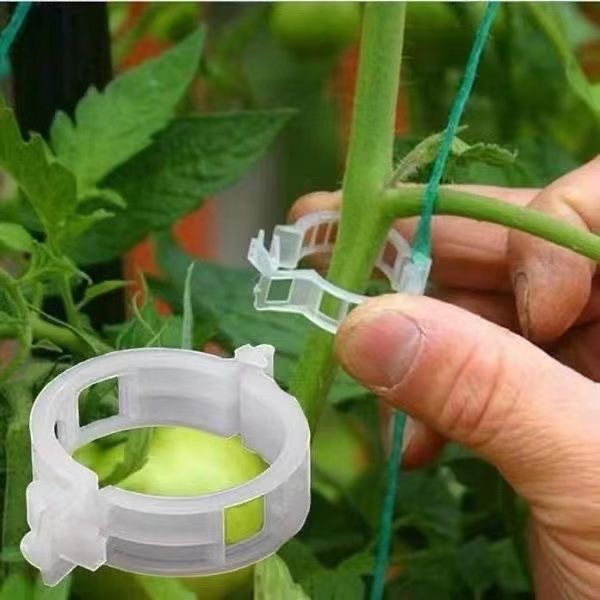 500 шт. пластиковых зажимов дл – обзор и цена Vine Climbing Plastic