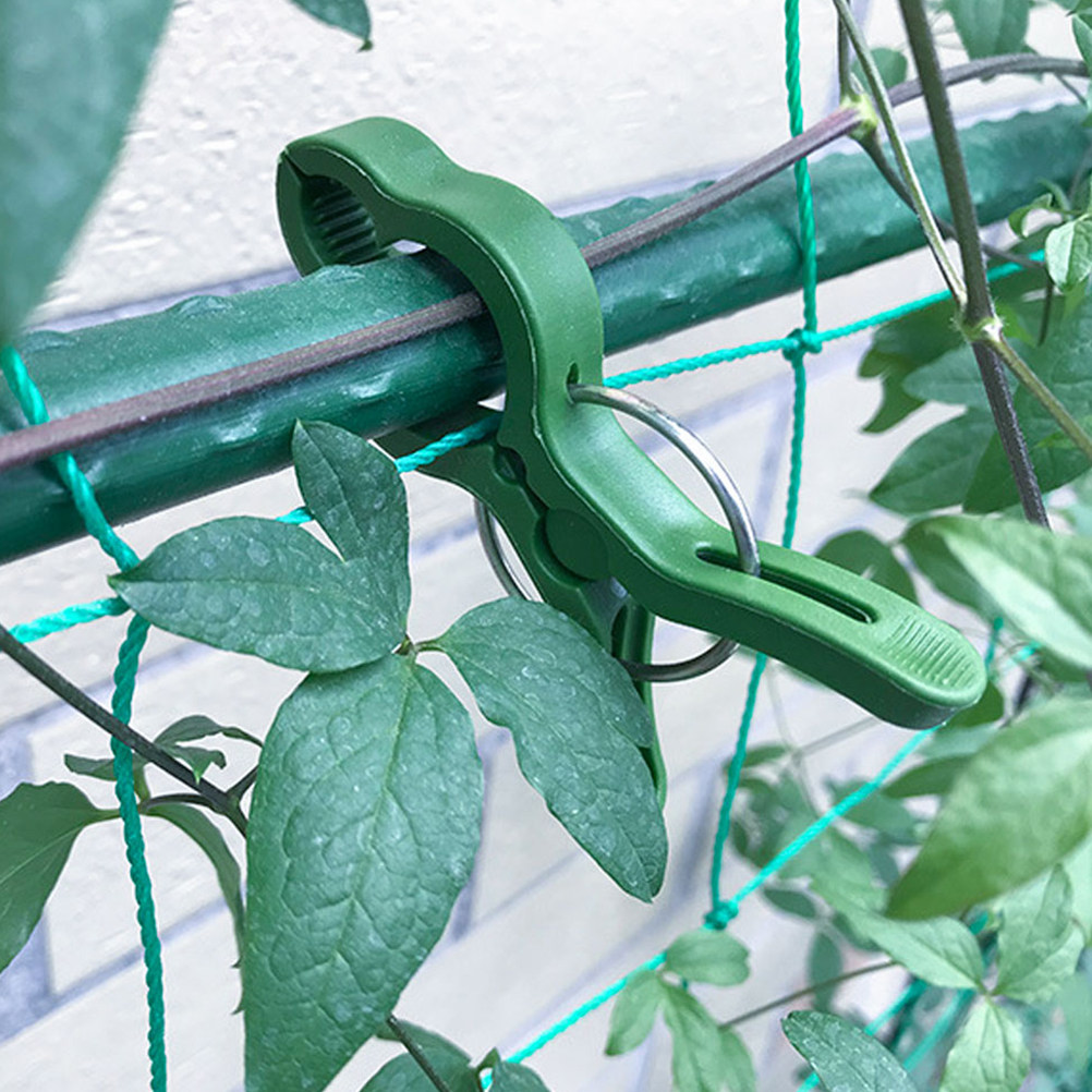 60 шт. пластиковых зажимов для – обзор и цена Vine Climbing Plastic