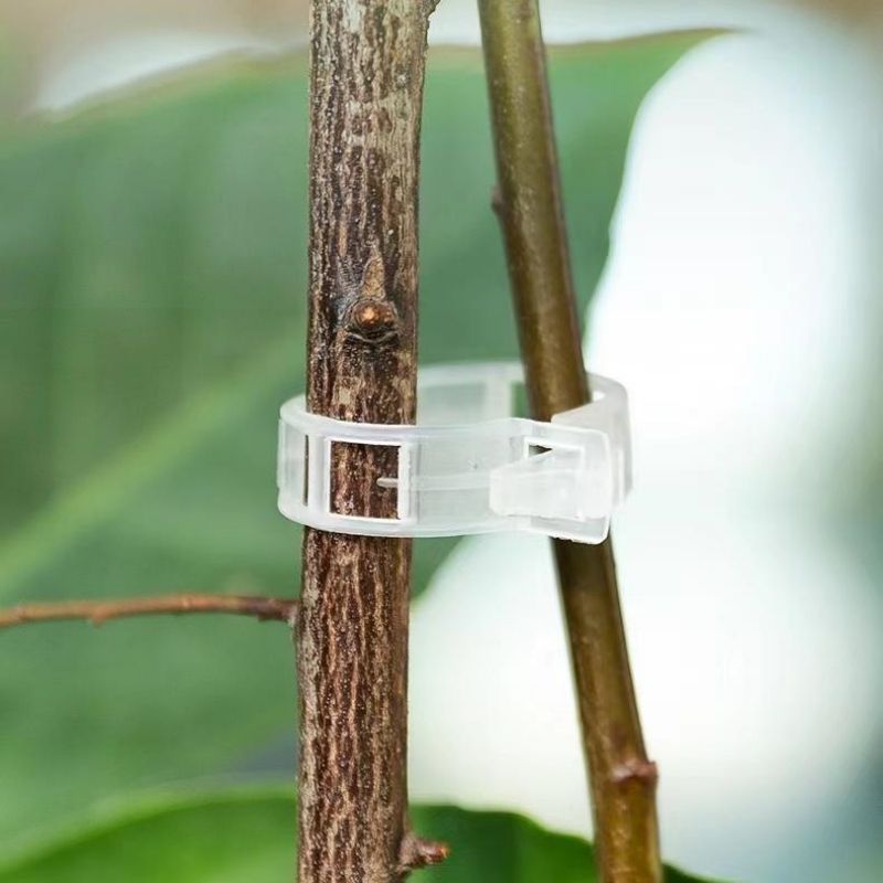Пластиковые зажимы для поддерж – обзор и цена Vine Climbing Plastic