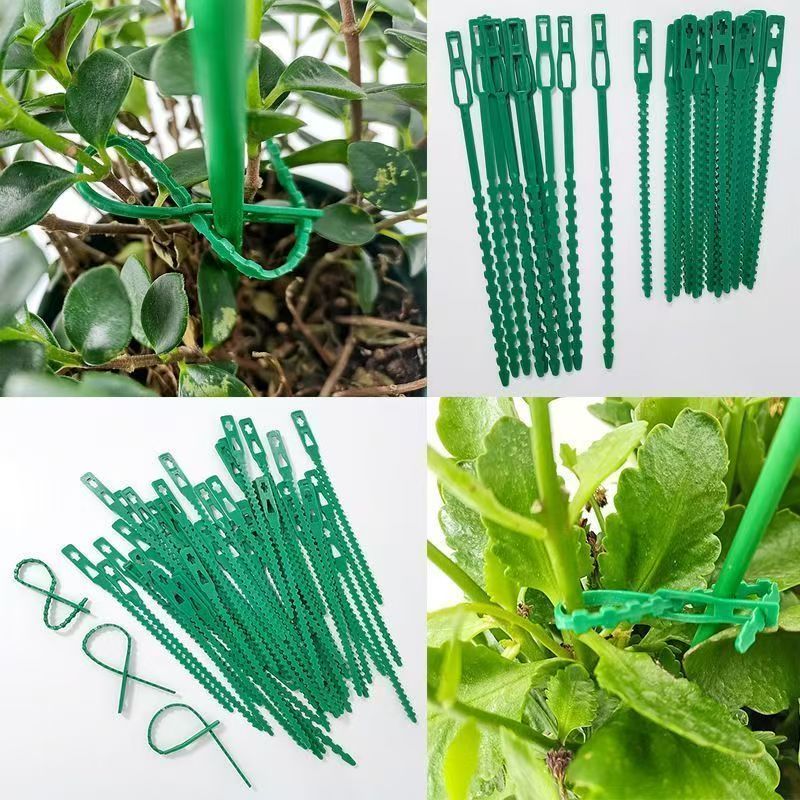 Зеленые многоразовые пластиков – обзор и цена Vine Climbing Plastic