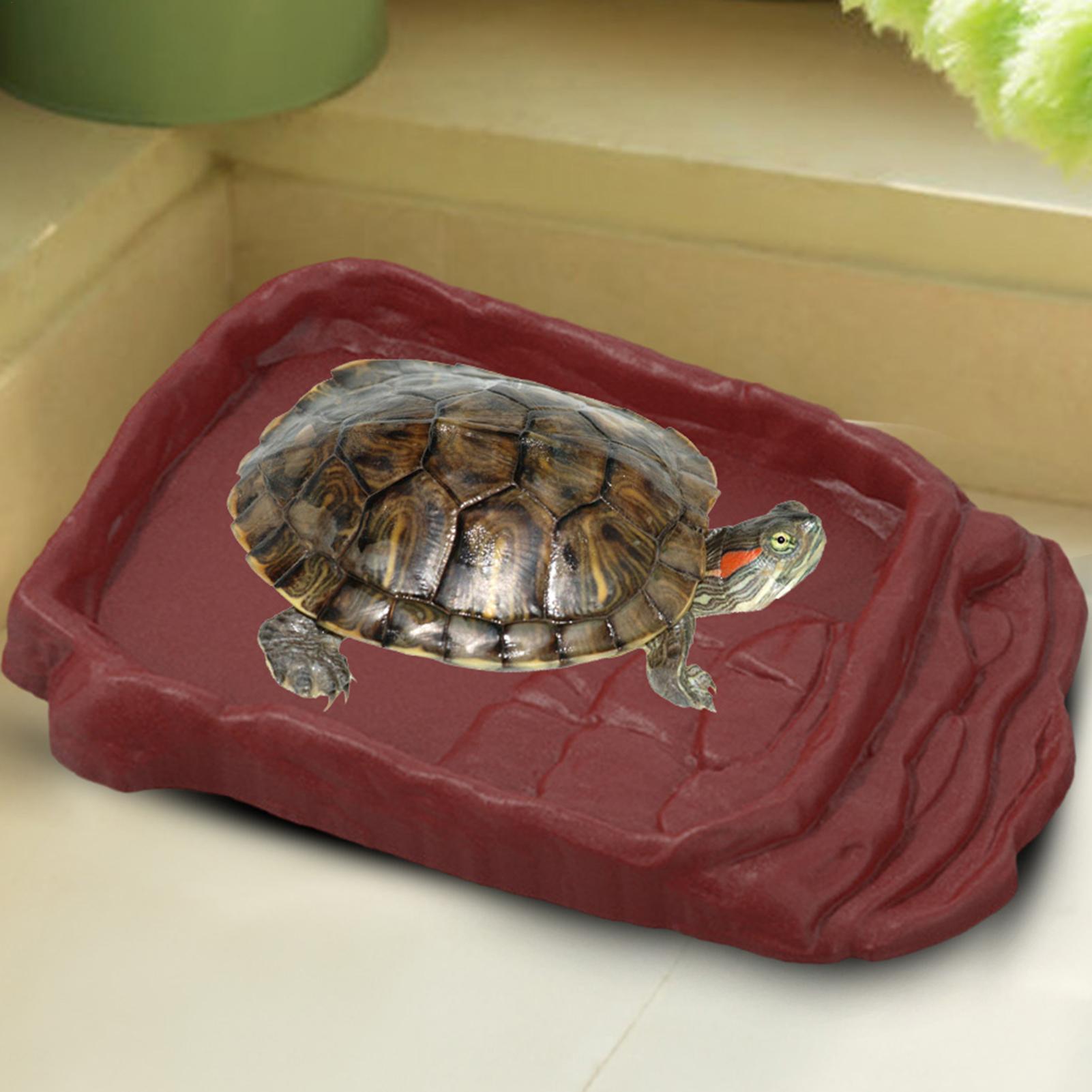 Ванна для черепах, поилка, про – обзор и цена Water Dish Reptile